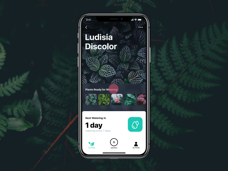 watering tracker app ui