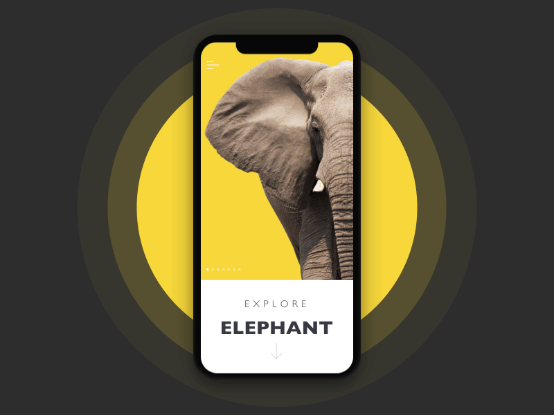 nature encyclopedia mobile app_animation_tubik
