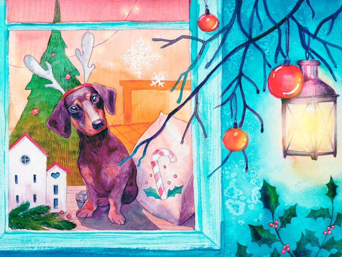 holiday dogs
